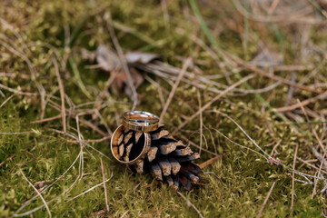 Elegant Wedding Rings Resting on a Pine Cone in Nature