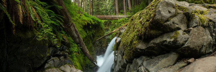 Ferns and Mossy Cover The Rocks In The Dry Fall Of Sol Duc Falls In Summer