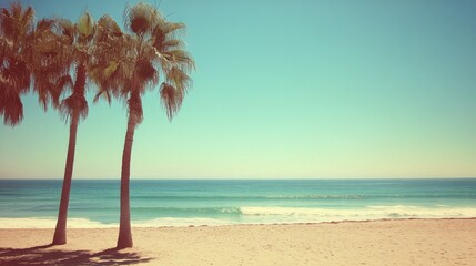 Fototapeta premium Palm trees stand on a sandy beach facing the serene ocean under a clear sky during daylight