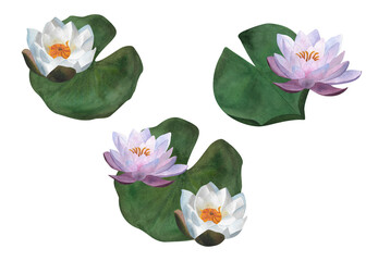 Watercolor lilac white water lily and green leaf Lotus flower Botanical composition for postcard poster spa logo Floral decoration sticker Aquatic plant Hand drawn illustration Blooming