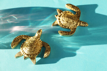 Decorative figures of turtles and beautiful shadow on light blue background