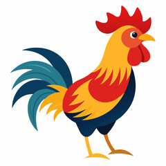 rooster isolated on white background