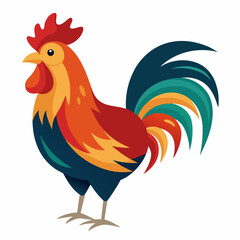 rooster isolated on white background