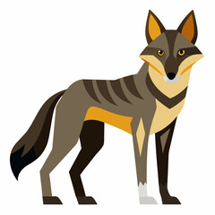 fox cartoon isolated on white