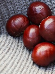 Fresh chestnuts with glossy brown surface on soft knitted wool background. Macro photography highlighting natural texture. Perfect for autumn food, seasonal recipes, and holiday cooking content.