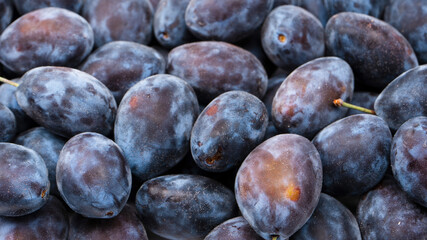 Fresh plums background. Top view. Organic food.