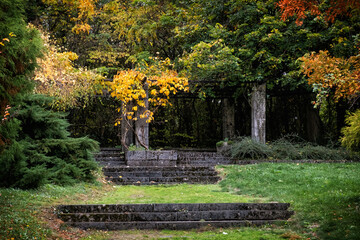 Autumn scenery in arboretum Tesarske Mlynany, Slovakia