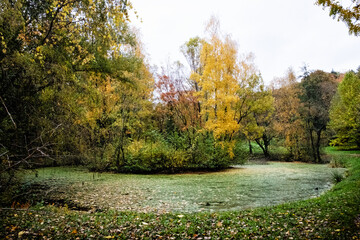 Autumn scenery in arboretum Tesarske Mlynany, Slovakia