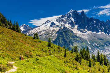 The Petit Dru mountain summit displays rugged peaks and rocky formations against clear sky. Rocky...