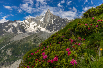 The Petit Dru mountain summit displays rugged peaks and rocky formations against clear sky. Rocky...