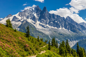The Petit Dru mountain summit displays rugged peaks and rocky formations against clear sky. Rocky...