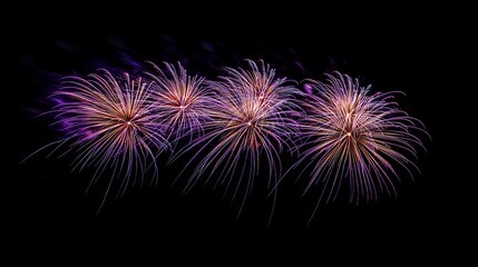 Purple fireworks light up the night sky, marking the arrival of New Year's Eve or the Fourth of July. They illuminate the darkness, creating a vibrant display of joy and celebration.