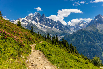 The Petit Dru mountain summit displays rugged peaks and rocky formations against clear sky. Rocky...