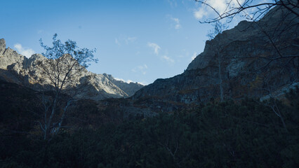 beautiful big mountains incredible nature and mysterious forest