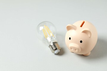 Light bulb and piggy bank. The idea of saving energy and accounting for finances in the concept of home and family, saving the world and energy