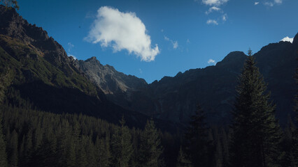 beautiful big mountains incredible nature and mysterious forest