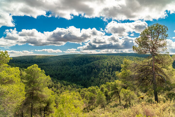 Beautiful landscape with woods on the mountains, cloudy sky