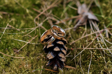 Elegant Wedding Bands Resting on a Pine Cone Surrounded by Nature's Greenery