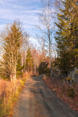 Fototapeta premium A country road of Øverskreien, Toten, Norway, in October.