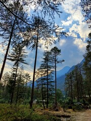 Reaching for the sky, nature's own symmetry 