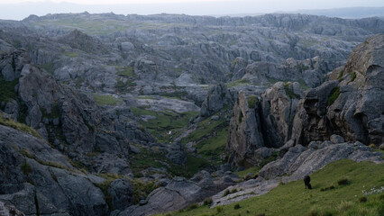 Idyllic landscape. View of a single black cow grazing in the rocky hills with a magical sunset light.
