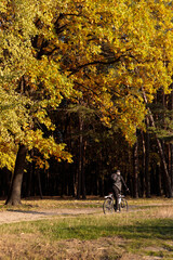Fototapeta premium A lone cyclist riding through a forest path in autumn. Golden leaves cover the trees, creating a picturesque and serene fall scene with natural beauty and peaceful atmosphere