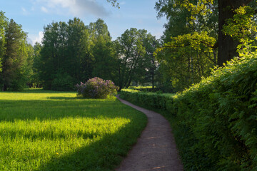 Slavyanka River Valley in the landscape part of the Pavlovsk Palace and Park Complex on a sunny summer day, Pavlovsk, Saint Petersburg, Russia