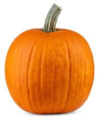 Pumpkin. Large pumpkin good for carving a Jack o Lantern on Halloween. Farm autumn October harvest. Pumpkin for Oktoberfest. Happy Thanksgiving day. High resolution photo. Isolated background