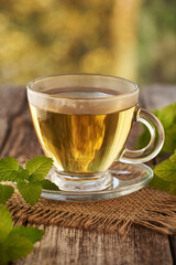 A cup of melissa or lemon balm tea with fresh leaves