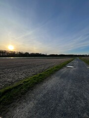 Naklejka premium Path in the fields