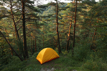 Modern camping tent in forest at summer © New Africa