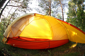 Modern camping tent in forest at summer, low angle view