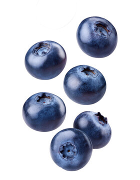 Falling blueberry berries on transparent