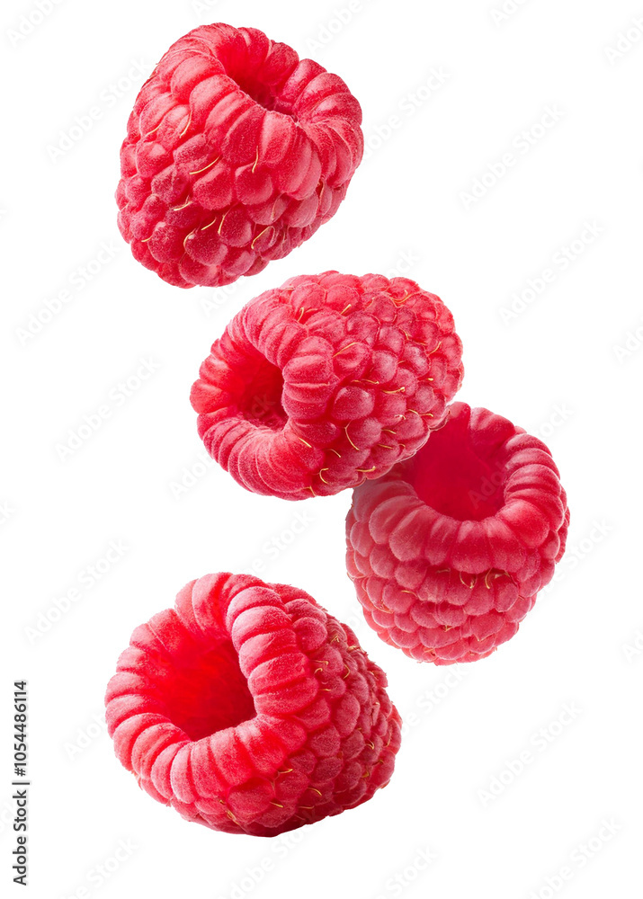 Aufkleber falling raspberry berries on transparent