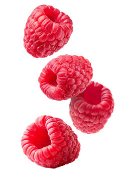 Falling raspberry berries on transparent
