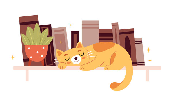 A red cat is sleeping on a bookshelf.Cute kitty sleeping on books