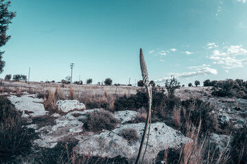 paesaggio desertico