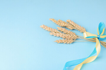 Obraz premium Ears of wheat with ribbons in colors of Ukrainian national flag on light blue background. Space for text