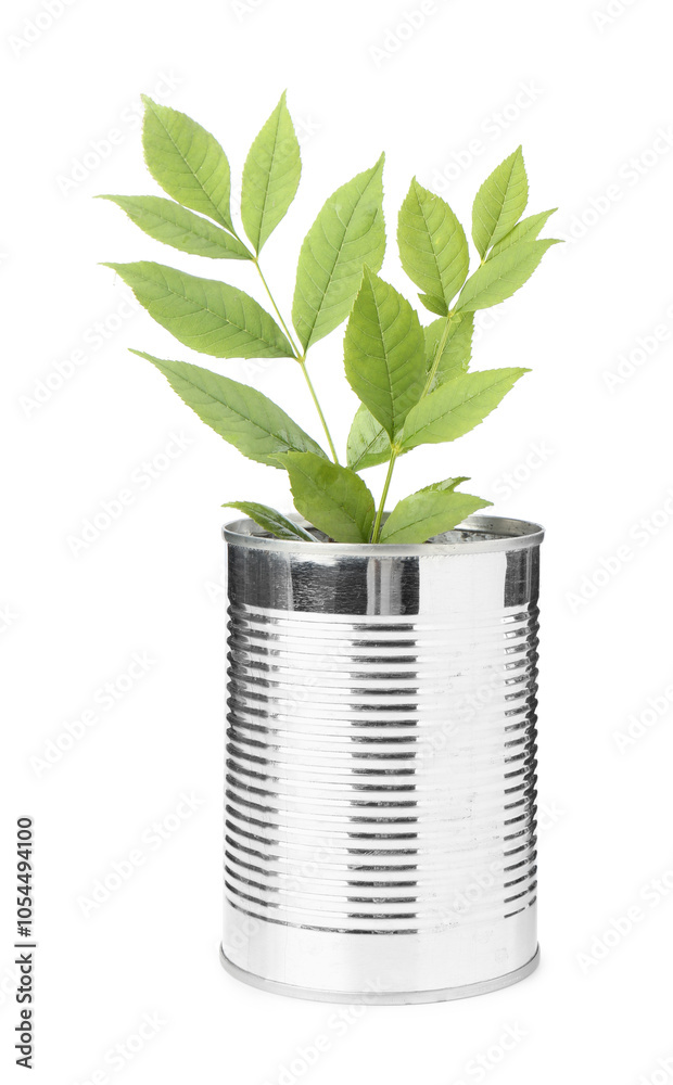 Poster Recycling concept. Metal can with plant isolated on white