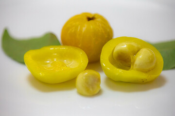 Ripe edible wild fruit from the Brazilian cerrado biome, fruit known as cagaita (Stenocalyx dysentericus) of the Magnoliopsida class and the Myrtaceae family.