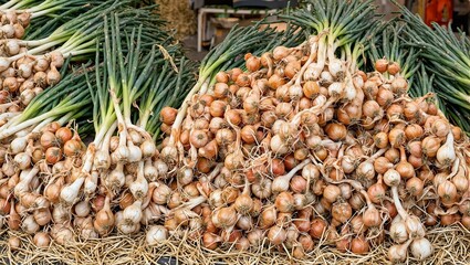 Fototapeta premium Freshly harvested golden brown onions on straw bed at outdoor market