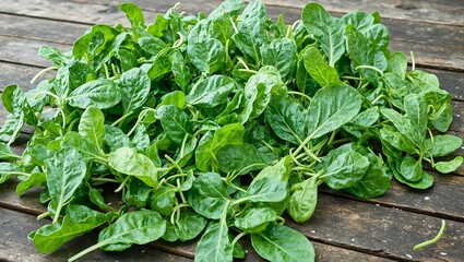 Fresh green spinach leaves on wooden surface in garden