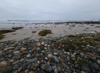 Old Man's  or Tourmaline Surfing Park at the northern end of Pacific Beach covered with fresh washed out kelp and shiny smooth rocks in the morning, San Diego, California