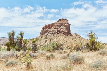 The Rings Loop Trail at California's Mojave National Preserve