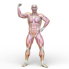 ポーズをとる男性　3DCGレンダリング