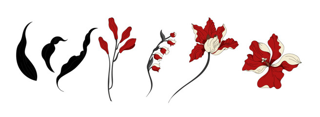 Hand draw flowers collection. Vector flowers and leaves set © akın demirci