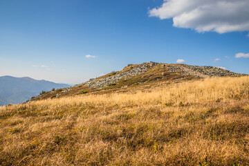A Breathtaking Stunning Mountain View Across the Vibrant Grassland on a Beautiful Clear Day