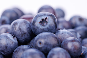 Detailed view of a small ceramic pot filled with ripe blueberries on a white infinite background