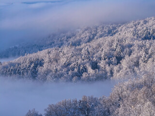 AERIAL: Rolling clouds and morning fog unveil a forested hill blanketed with freshly fallen snow. Misty winter landscape in beautiful shades of blue and white illuminated by soft light of rising sun.