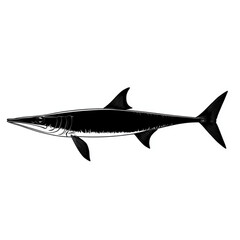 Fototapeta premium fish